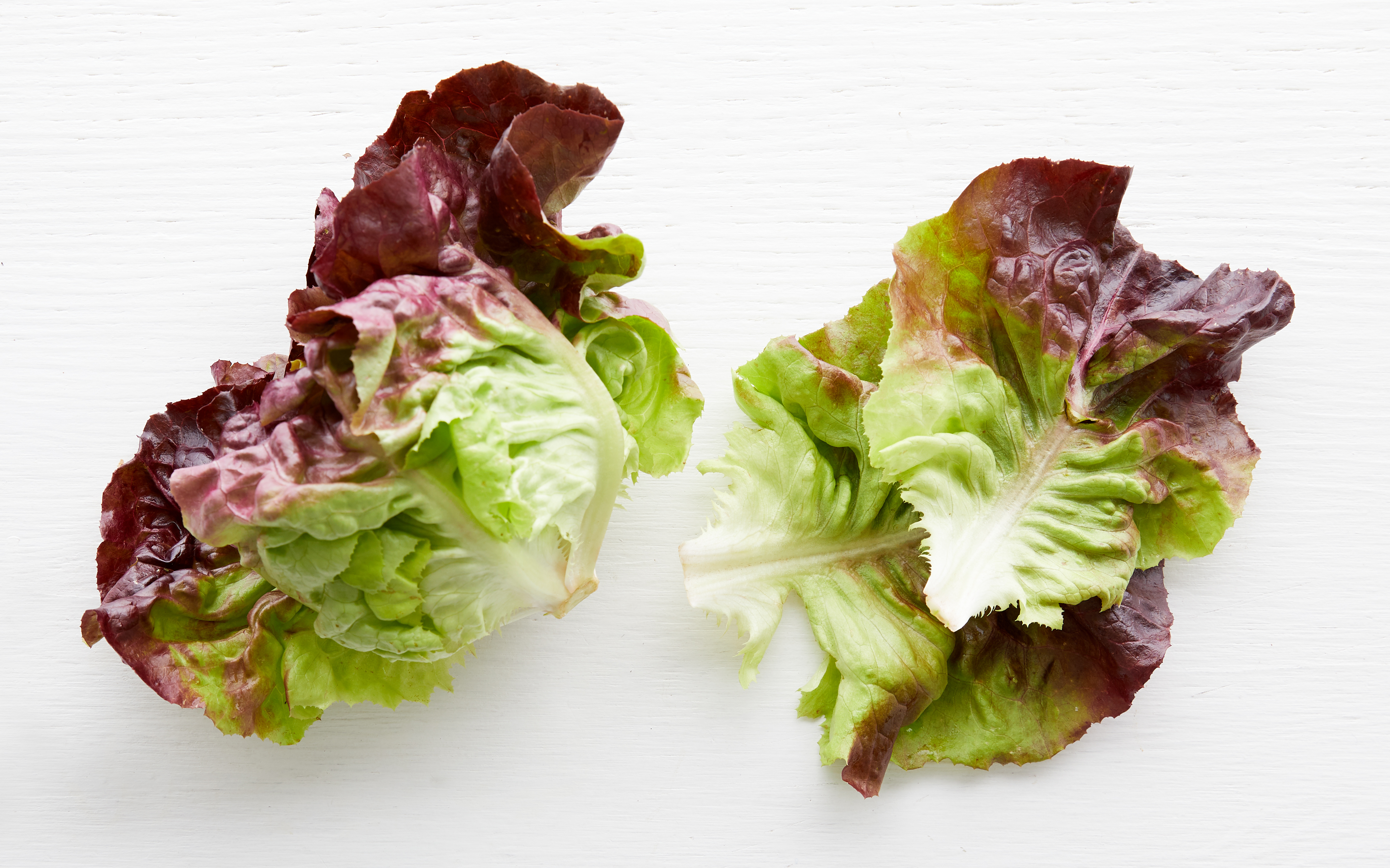 Organic Red Butter Lettuce Brisa de Año SF Bay Good Eggs